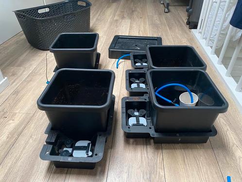 Autopot systeem met 4 trays.