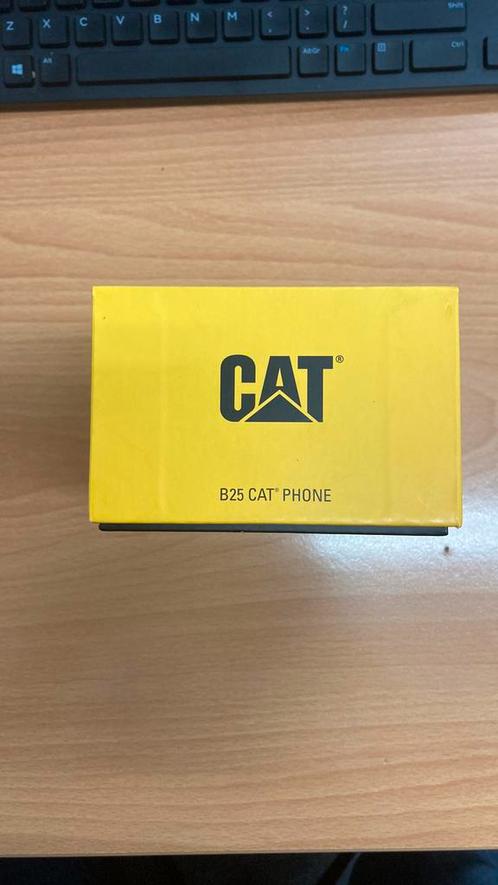 B25 CAT Phone