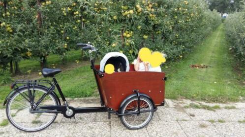 Babboe bakfiets 