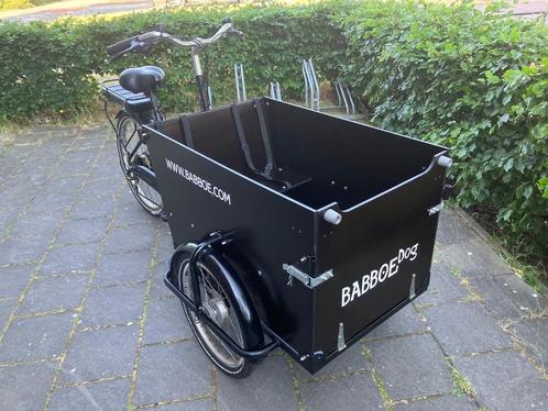 Babboe-Big-E-Bike-Dog-Met-Bijna-Nieuwe-Accu-Zie-de-Fotox27s