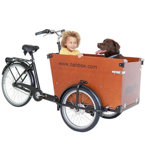 Babboe Dog