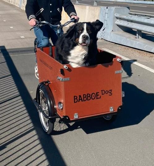 Babboe Dog E , , Nieuw , snel leverbaar 