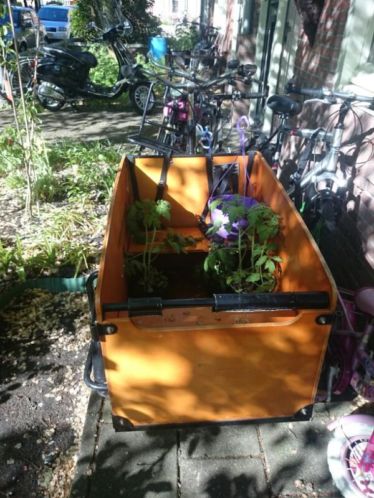 Bakfiets 