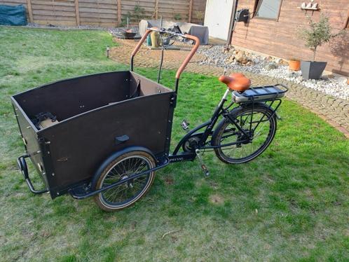 Bakfiets elektrische