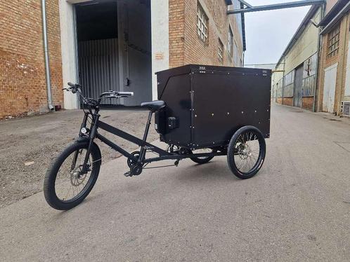 Bakfiets elektrische Cargo Bike e-bike
