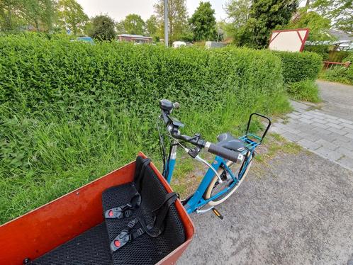 bakfiets . nl elektrische cargobike long Petrol Blue