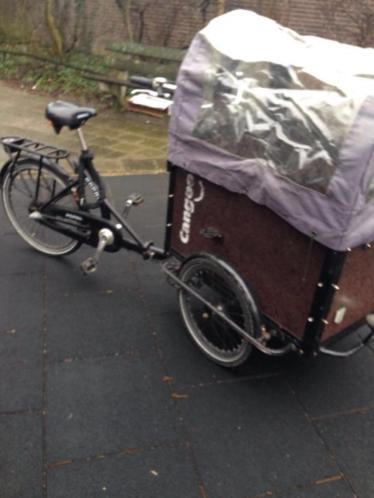 Bakfiets Popal cango