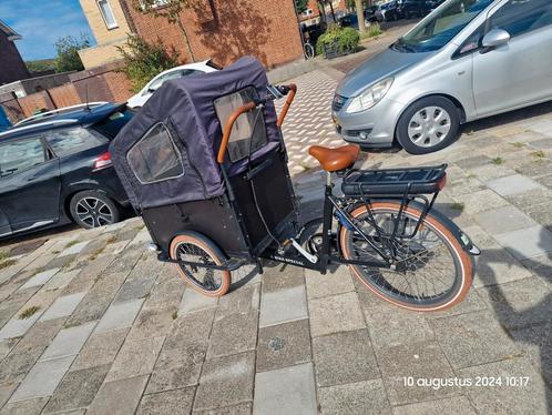 Bakfiets Vogue Troy ebike special