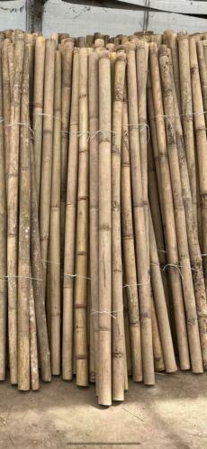 Bamboe palen 5-10cm dik tuinschermen hek schutting hovenier