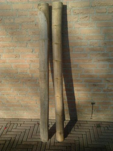 Bamboe palen.