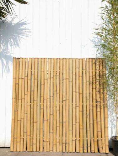 Bamboe schermen 120, 150, 180 of 200cm hoog