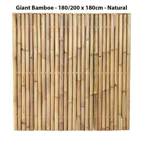 Bamboe schutting GIANT Natural of Dark, Diverse afmetingen