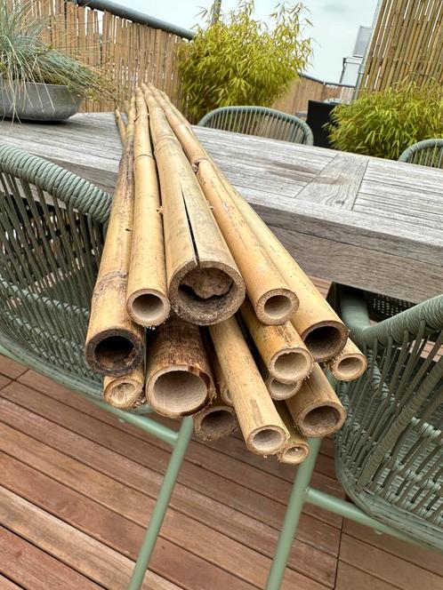 Bamboe stokken, 16 stuks, 1.80 m lang, diameter 1,5-3cm