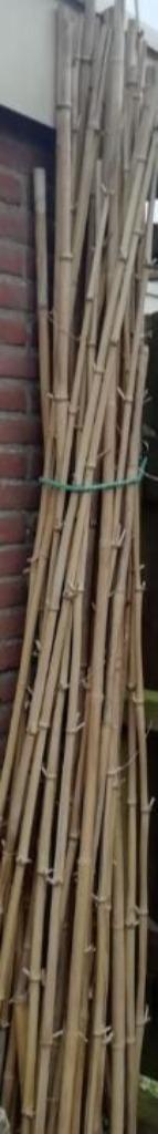 bamboe stokken