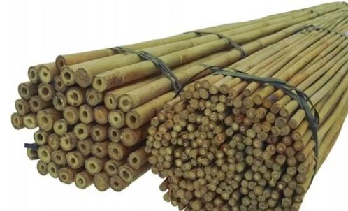 Bamboe stokken