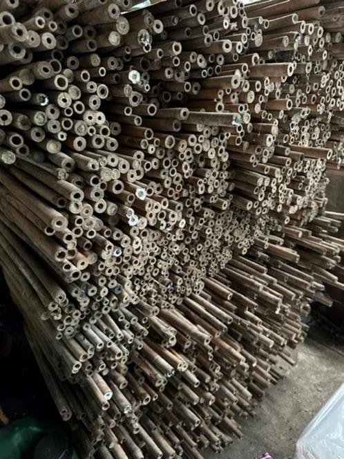 Bamboe stokken lengte 1.80 mtr. 2000 stuks