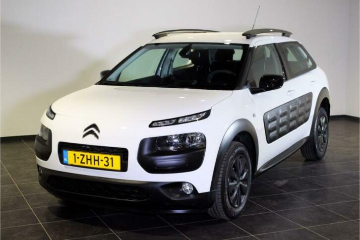 Bekijk ons ruime aanbod Citron C4 Cactus occasions - BYNCO