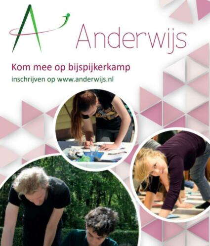 Bijles Zomerkamp Anderwijs