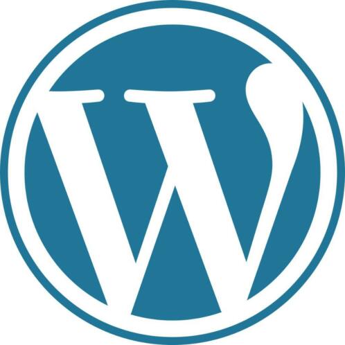 Bijverdienen Wordt Wordpress specialist