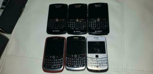 Blackberry 6 stuks