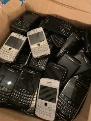 Blackberrys 176 stuks 