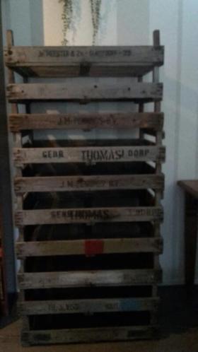 bloembollen kisten 10 stuks