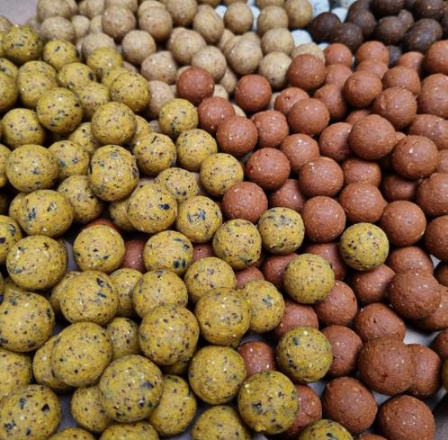 Boilies - Scopex, Tijgernoot, Krill, Tuna  - Bulk prijzen