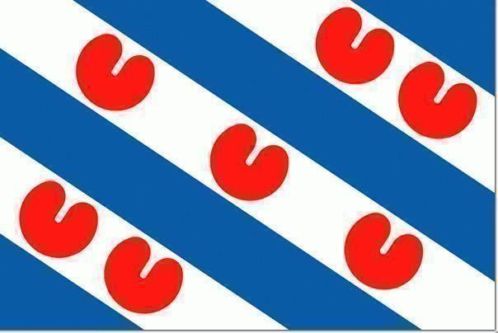 Boot vlag van Friesland, camping vlaggen v.a. 20 x 30 cm