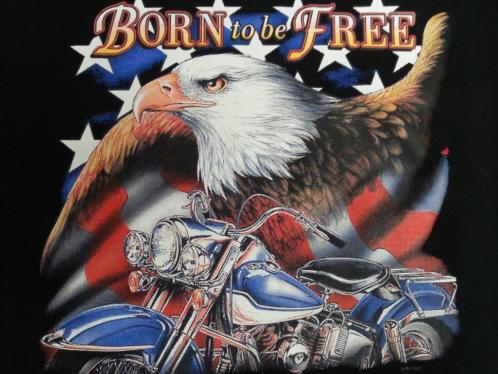 Born to be Free Motorcycle 