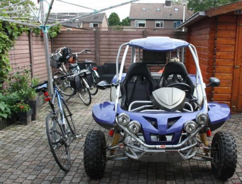 Buggy Renli met kenteken