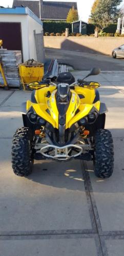 Can-am renegade 500
