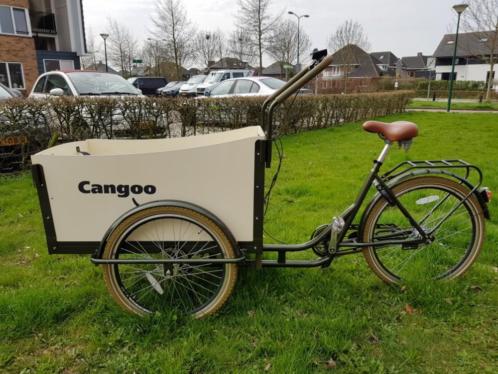 Cangoo bakfiets te koop