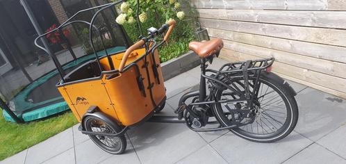 Cangoo buckle e-bike (2022)
