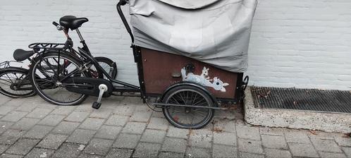 cangroo bakfiets ( 3 lek banden )