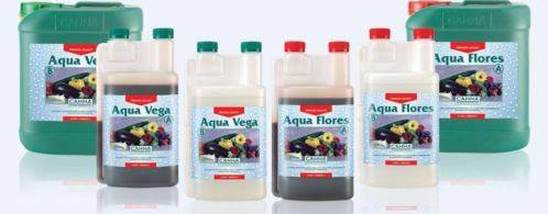 Canna kweekvoeding, plantenvoeding, groei en bloei kweek