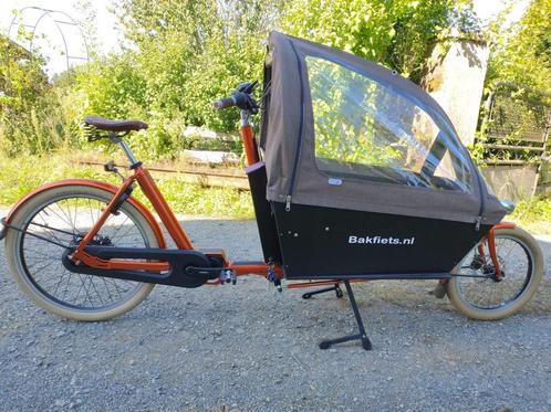 CargoBike Cruiser Long Steps (Frame 53 cm)