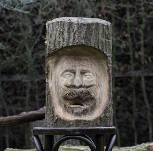 Carving gezicht in boomstam