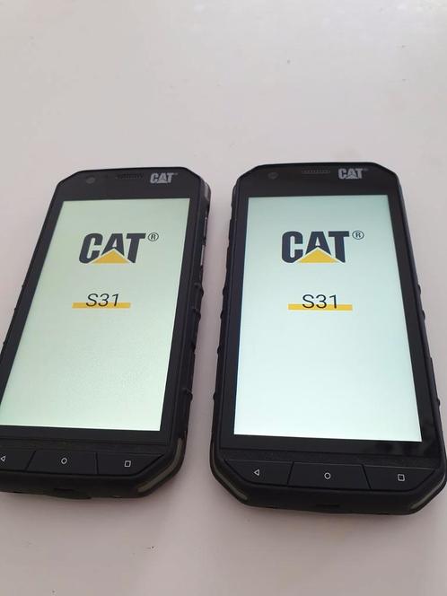 CAT S31