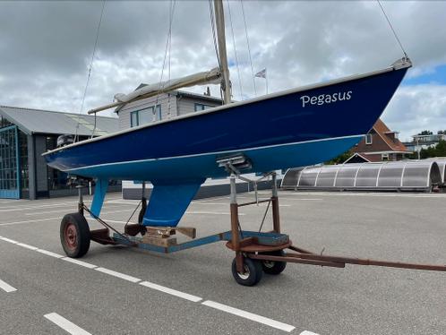 Centaur met buitenboordmotor mercury 4pk