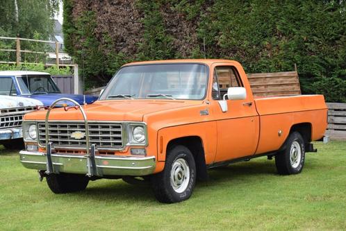 Chevrolet C10 4.8L L6 292CID 1975
