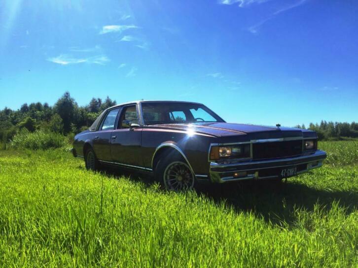 Chevrolet Caprice 1979 Bruin 5.7L