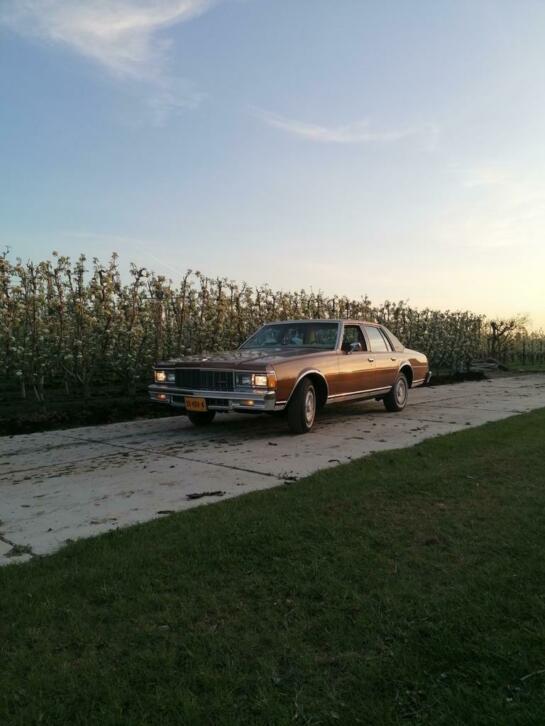 Chevrolet Caprice 5.0 Classic Aut belastingvrij