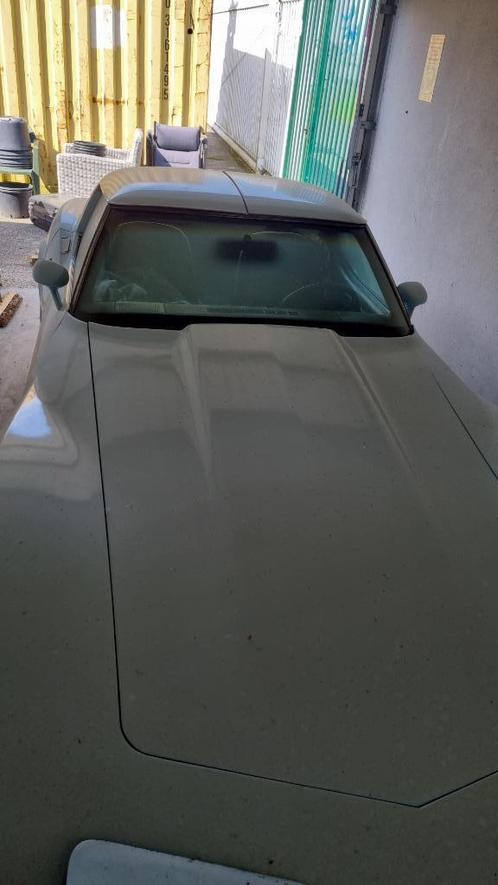 Chevrolet Corvette 1978 Blauw
