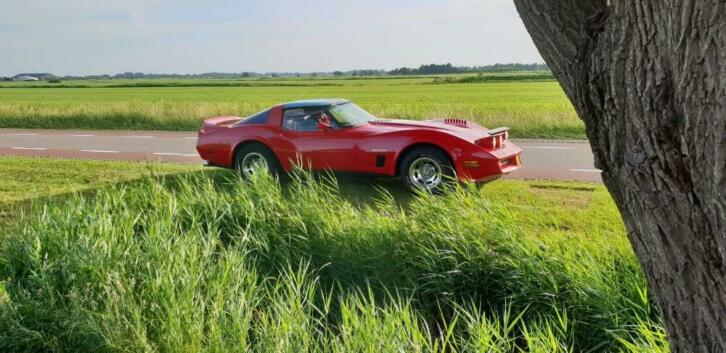 Chevrolet Corvette 5.7 1982 Rood