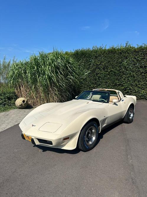 Chevrolet Corvette C3 Targa 1979 een echt originele topper