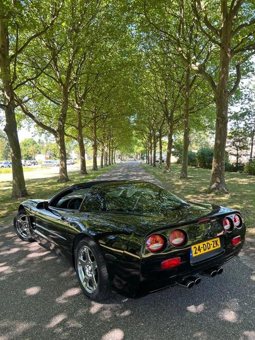 Chevrolet Corvette C5 Dutch car NEW APK