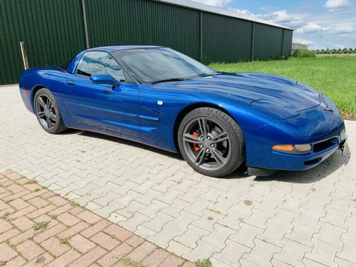 Chevrolet Corvette C5 unieke kleur