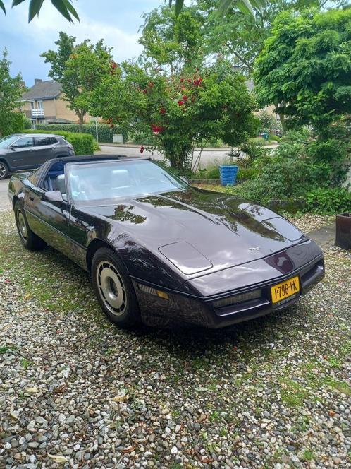 Chevrolet Corvette Targa 1984 Black Current