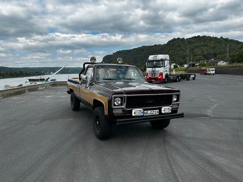 Chevrolet K10 1973 geen roest (K20 K30 C10 C20 C30 Stepside