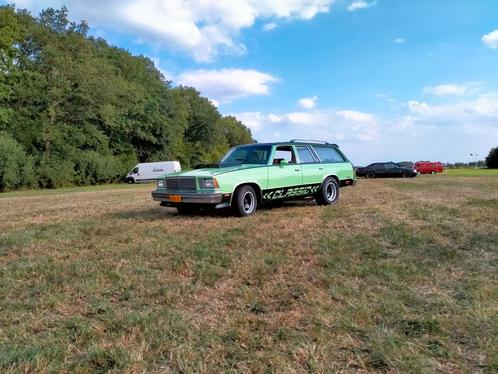 Chevrolet Malibu wagon classic 1979 Groen